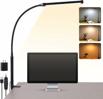 Desk Lamp